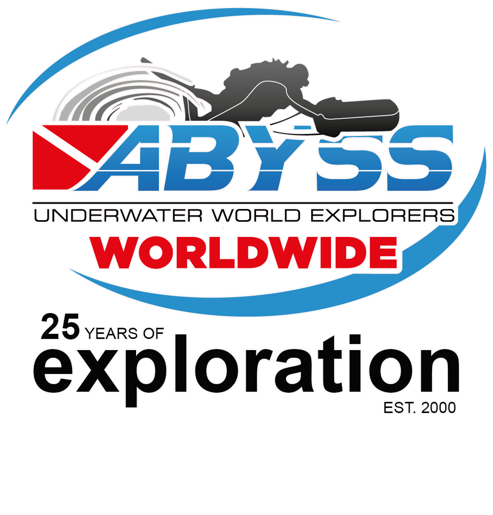 Abyss worldwide 2025 08 15 years black